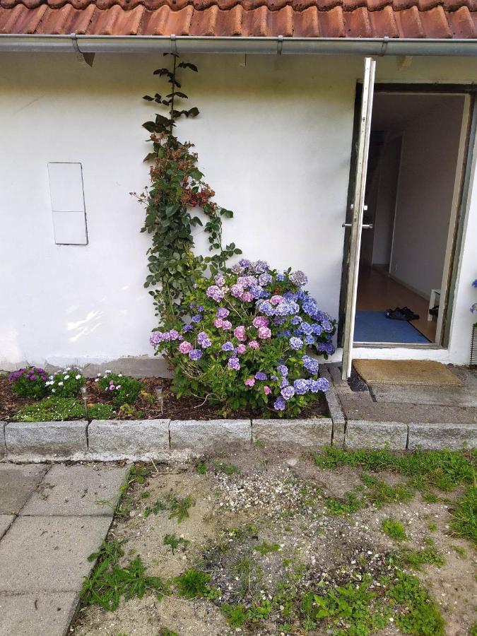 Skovhusets B&B I Gislev エクステリア 写真